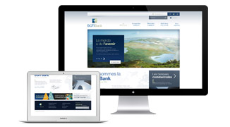 website